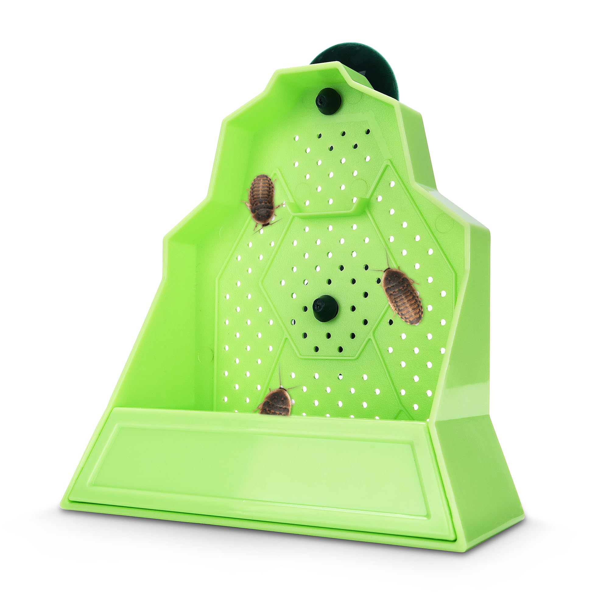 Bol Eckpo d’alimentation pour reptiles, mural, stimule la chasse.