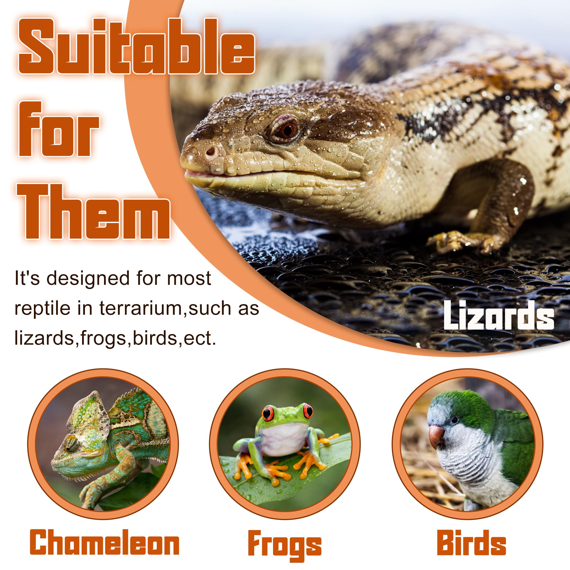 Bol Eckpo anti-écart pour insectes, pratique pour différents reptiles.