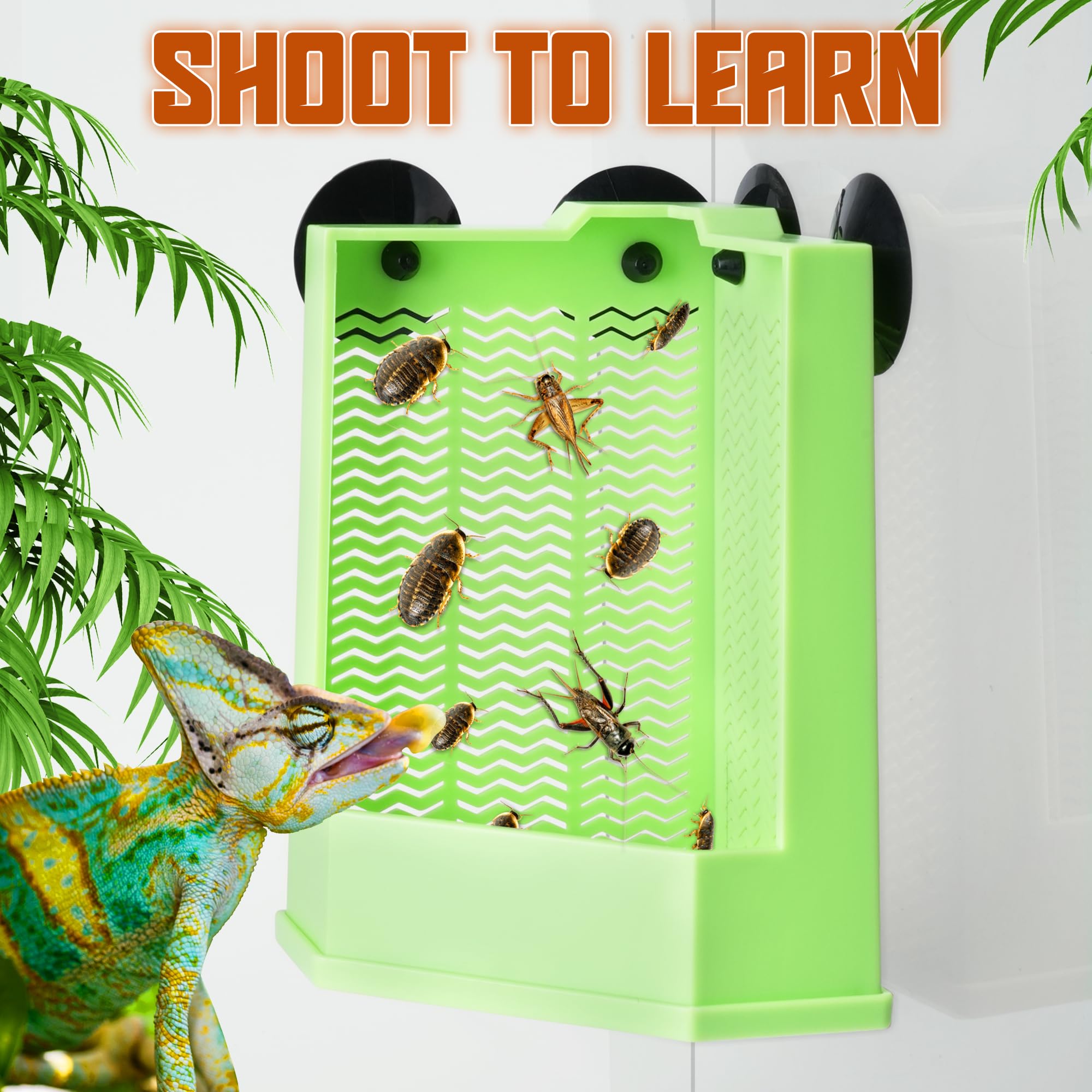 Bol Eckpo pour chasse et dégustation d'insectes, fixation fiable sur paroi.