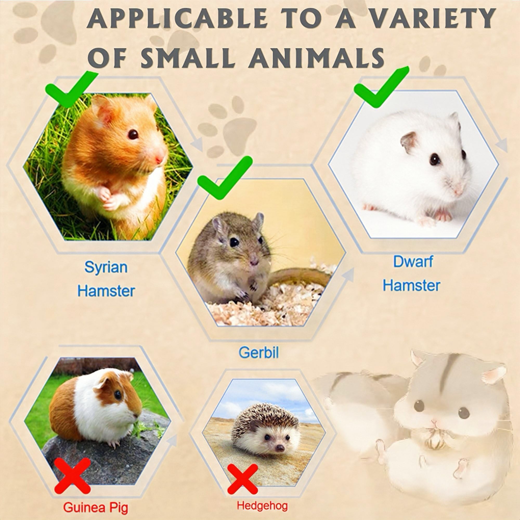Cage Ecleng hamster – sécurité anti fuite pour tranquillité lors de l’absence.
