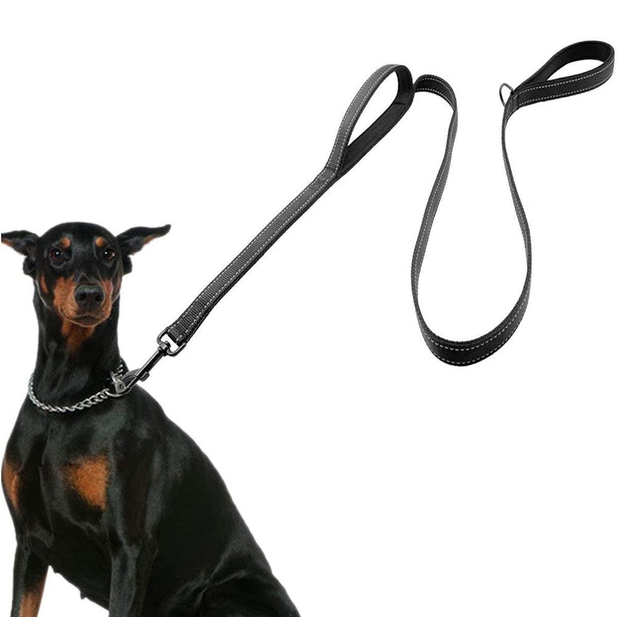 Laisse ECO-CLEAN pour grands chiens avec 2 poignées pour contrôle rapproché.