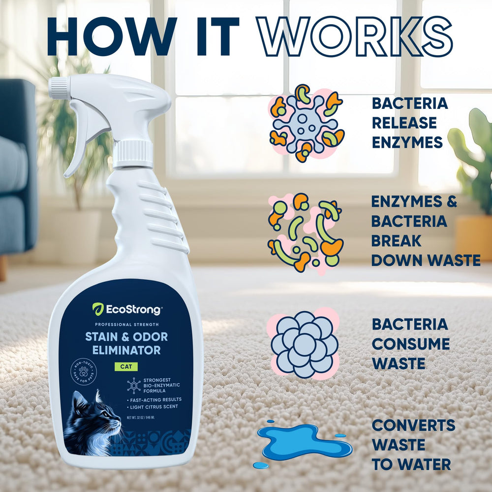 Eco Strong Nettoyant Taches Odeurs Chat Tapis, traite taches et senteurs sur tapis.