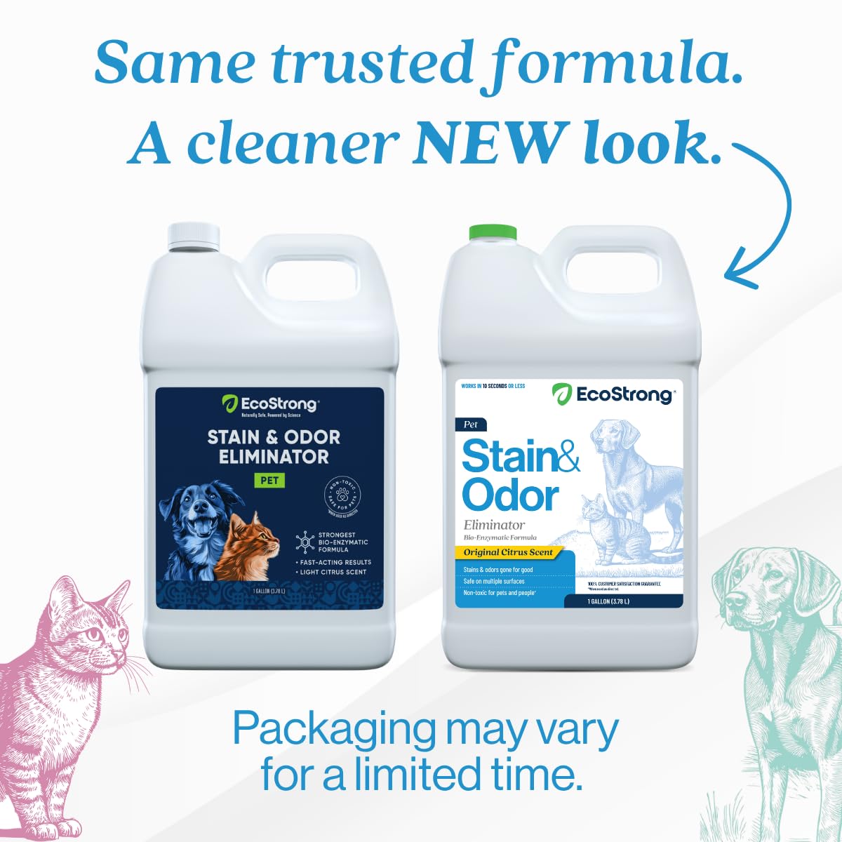 Spray Eco Strong désodorisant litière chat pour l’espace entre les nettoyages.