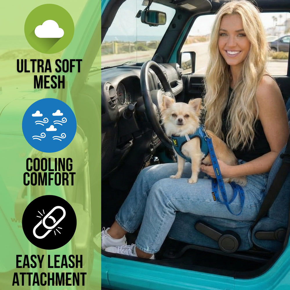 Premier plan du harnais EcoBark mesh bleu, fermeture rapide et ajustement précis.