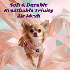EcoBark harnais petit chien, détail mesh doux, ventilation supérieure.