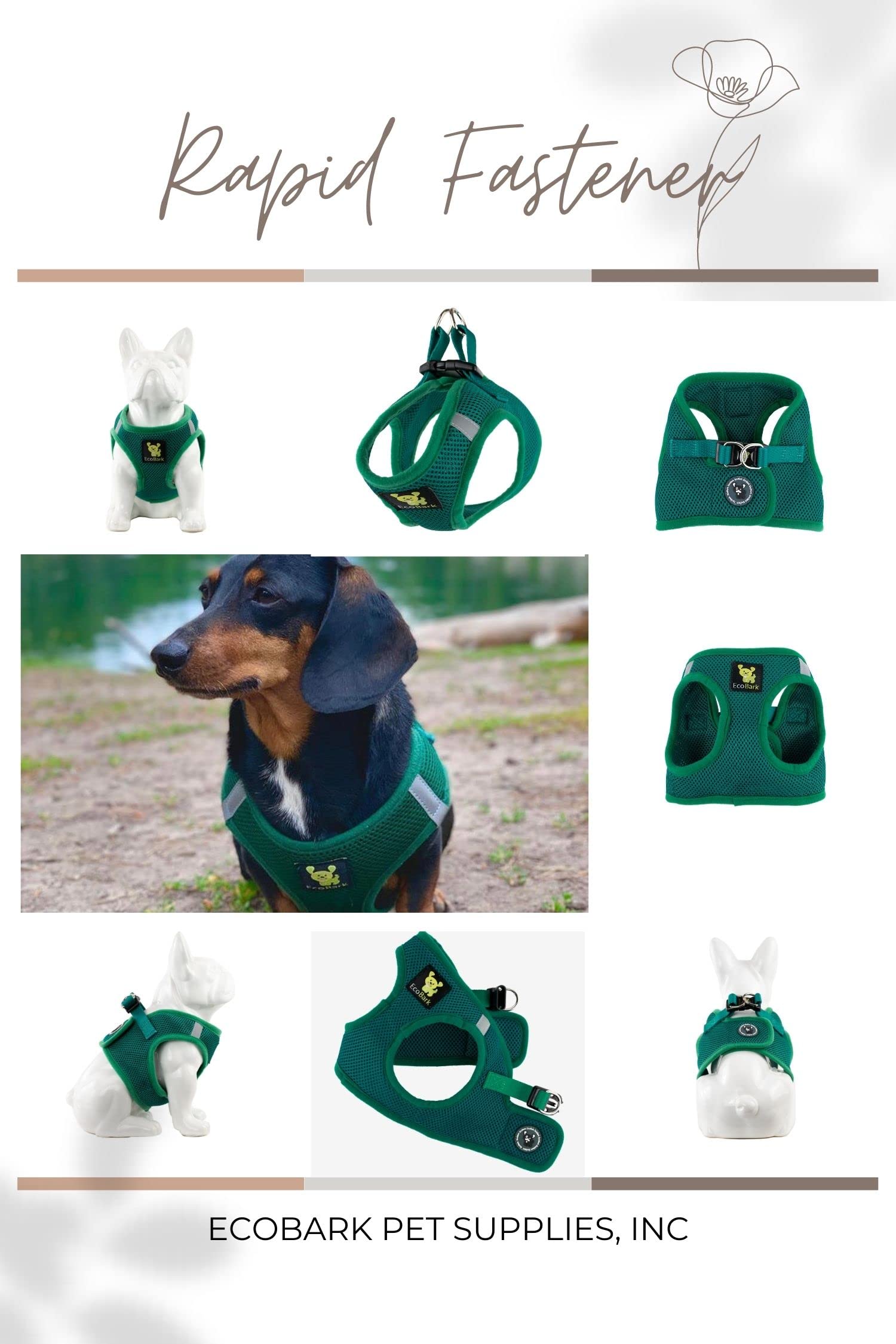 Réglage simple EcoBark XS, ajustement précis pour petites races