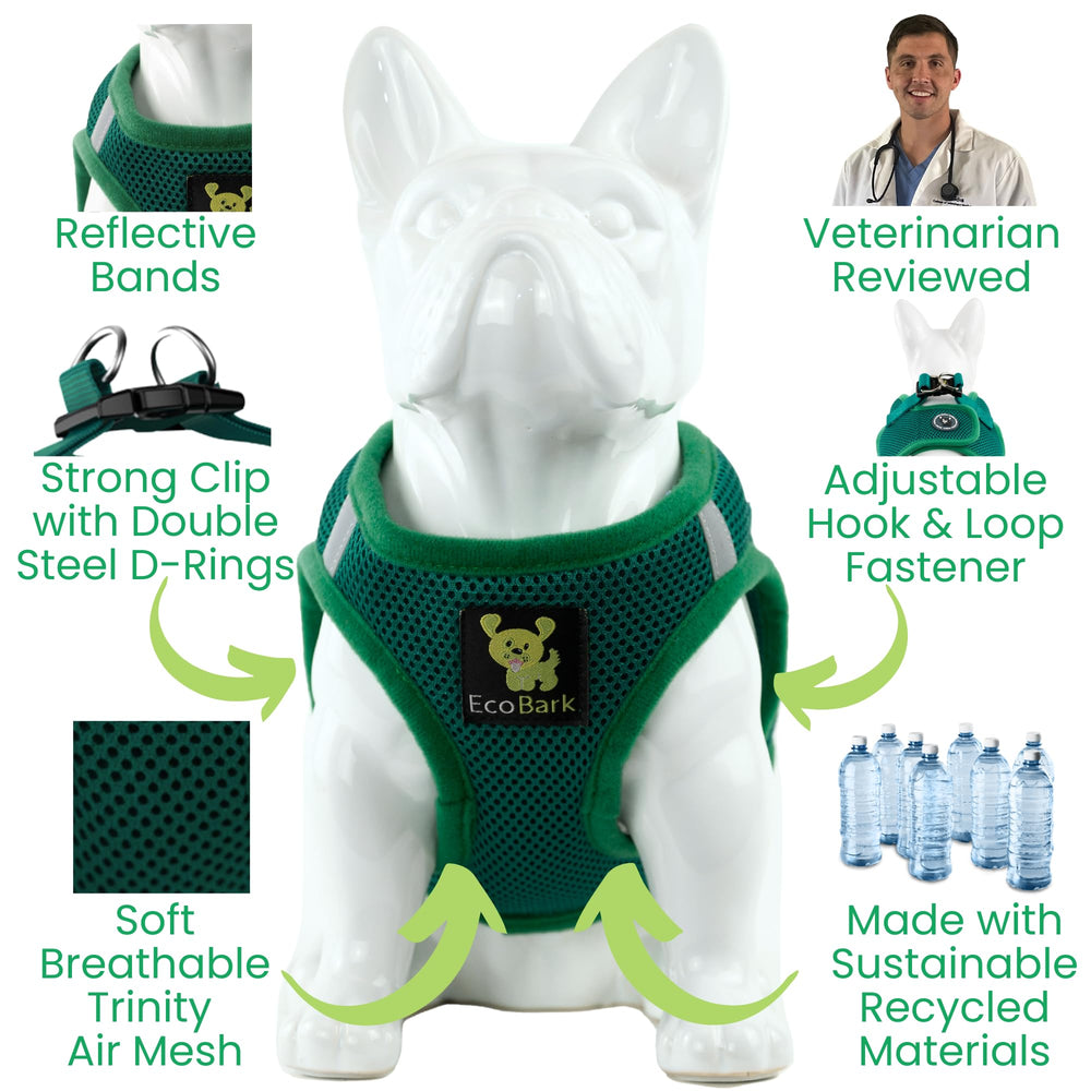Sangles recyclées EcoBark XS, durable et respectueuses de l’environnement