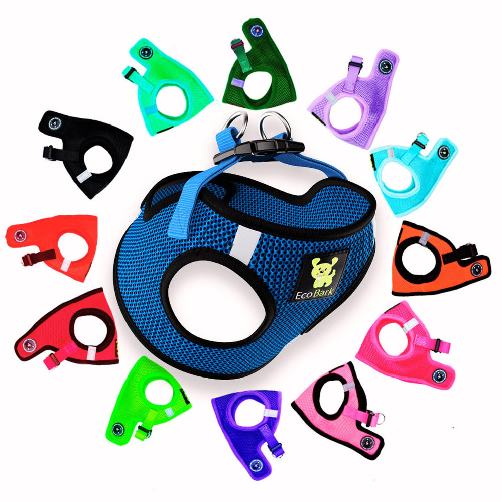 Harnais EcoBark Teacup bleu brillant en mesh, confort léger pour petites races.