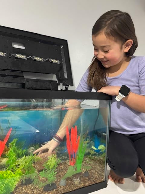 EcoBio-Block nano pour aquariums de 3,0 à 5,7 litres.