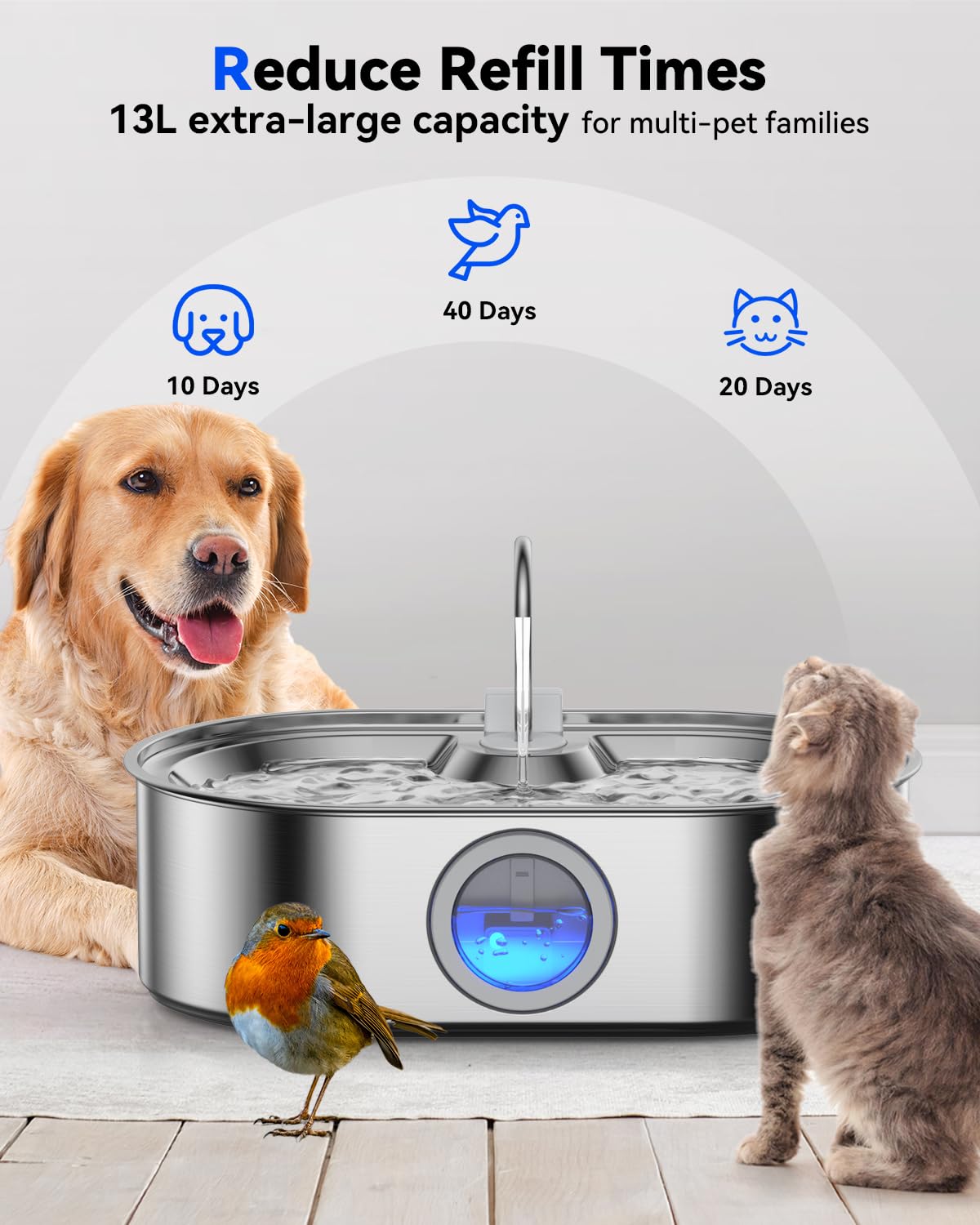 Grand bac d’eau profond facilitant l’accès à l’eau des grands chiens.