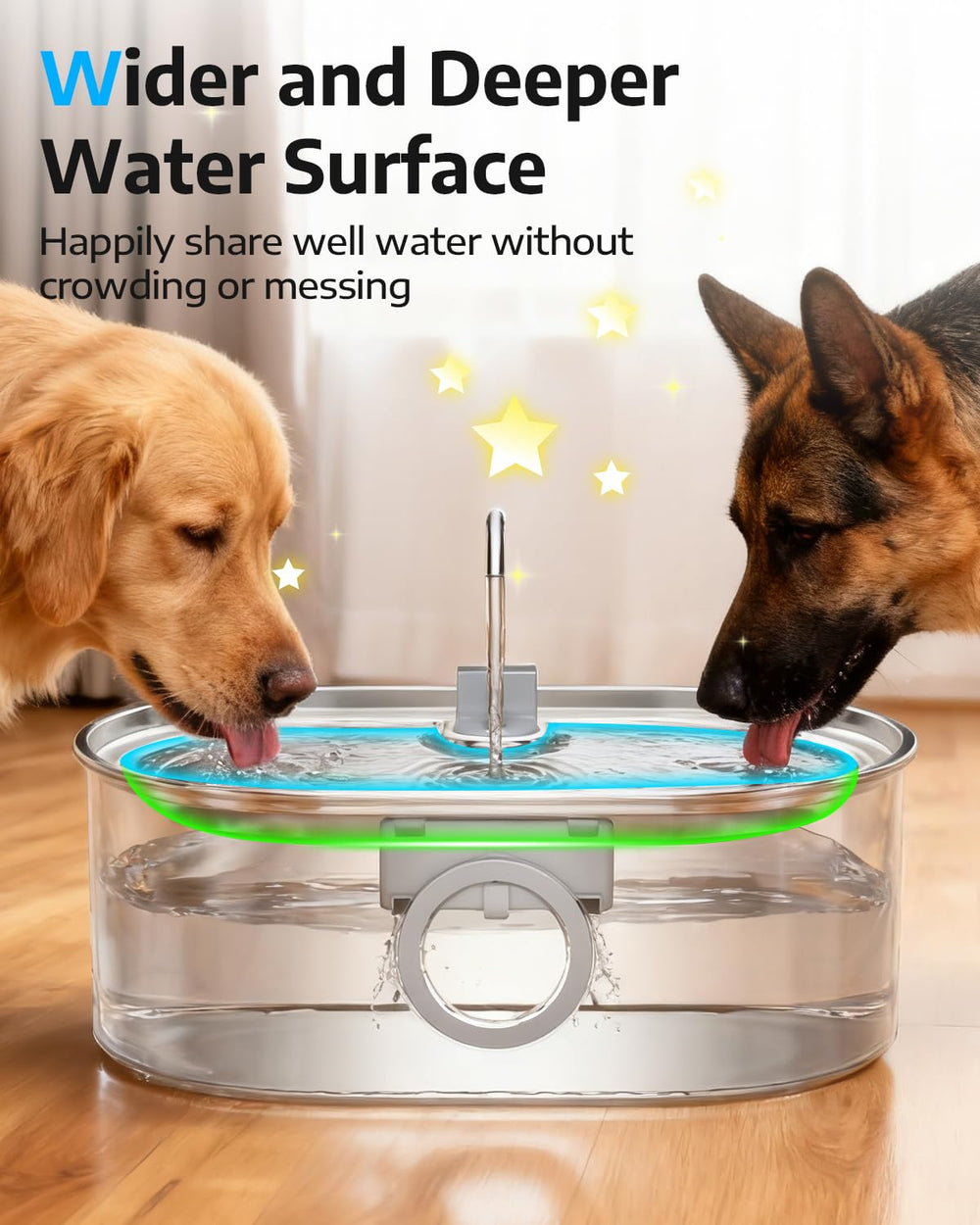 Construction robuste et stable d'ECOCONUT évitant les bascules chez les chiens.