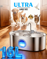 Plateau profond et large de la Fontaine ECOCONUT pour grands chiens, hydratation facilitée.