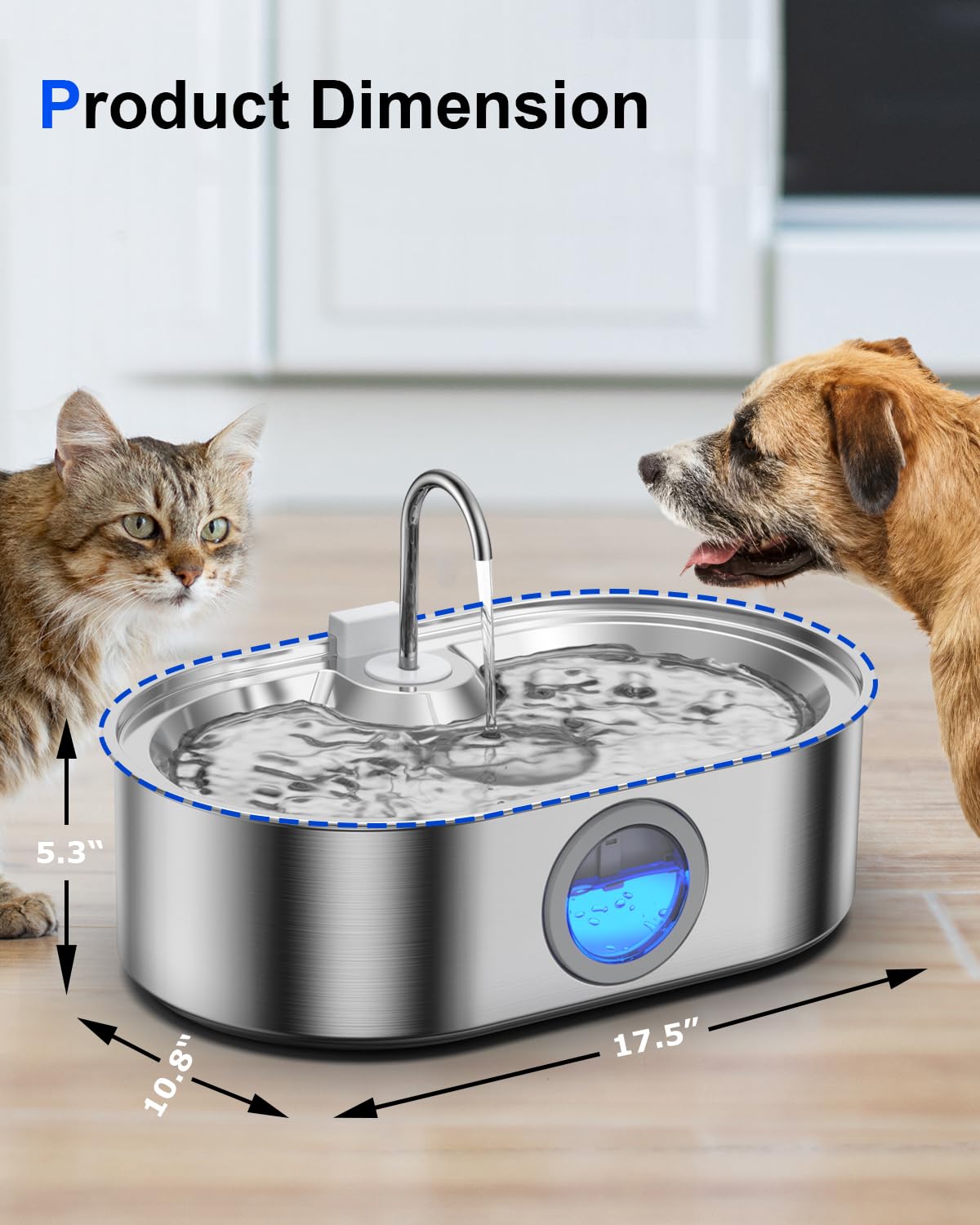 Fontaine ECOCONUT conçue pour rester calme et sûre autour des animaux.