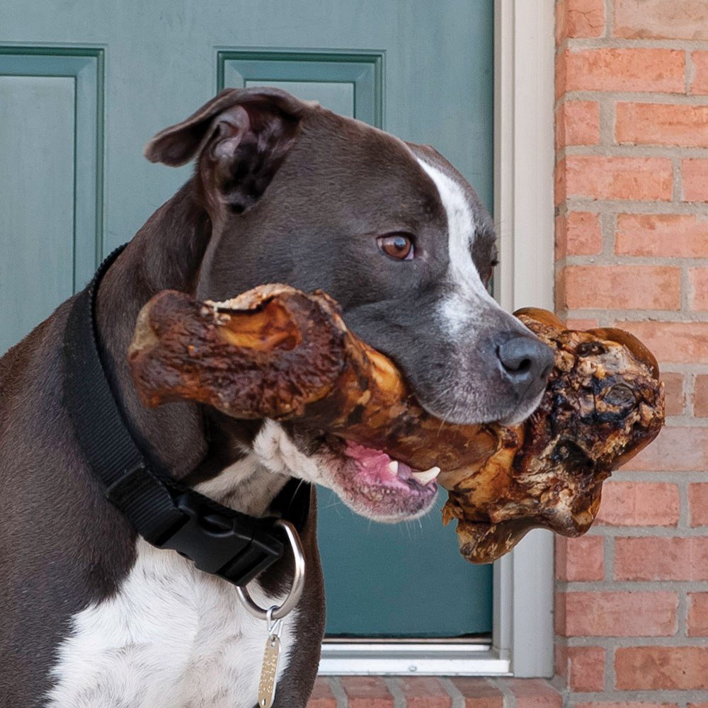 EcoKind Os chien – format géant adapté aux grandes races pour sessions prolongees