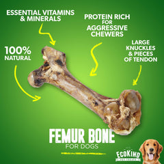 EcoKind Os chien – tendon et viande pour une texture riche qui occupe votre chien