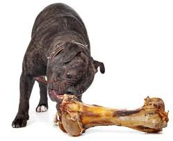 EcoKind Os chien – texture de rognage irrégulière pour stimuler l’activité de mastication