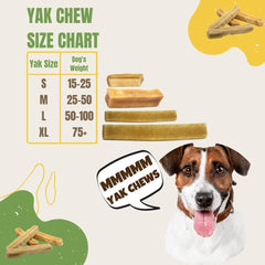 EcoKind Premium Gold Yak Cheese Himalayenne, friandise naturelle, sans additifs, pour mâcher après le déjeuner