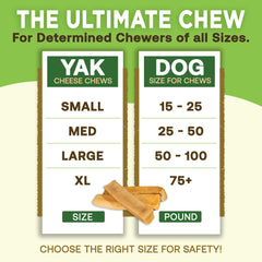 EcoKind Yak Fromage Himalayen – bouchée d’enrichissement quotidien pour chien grand.
