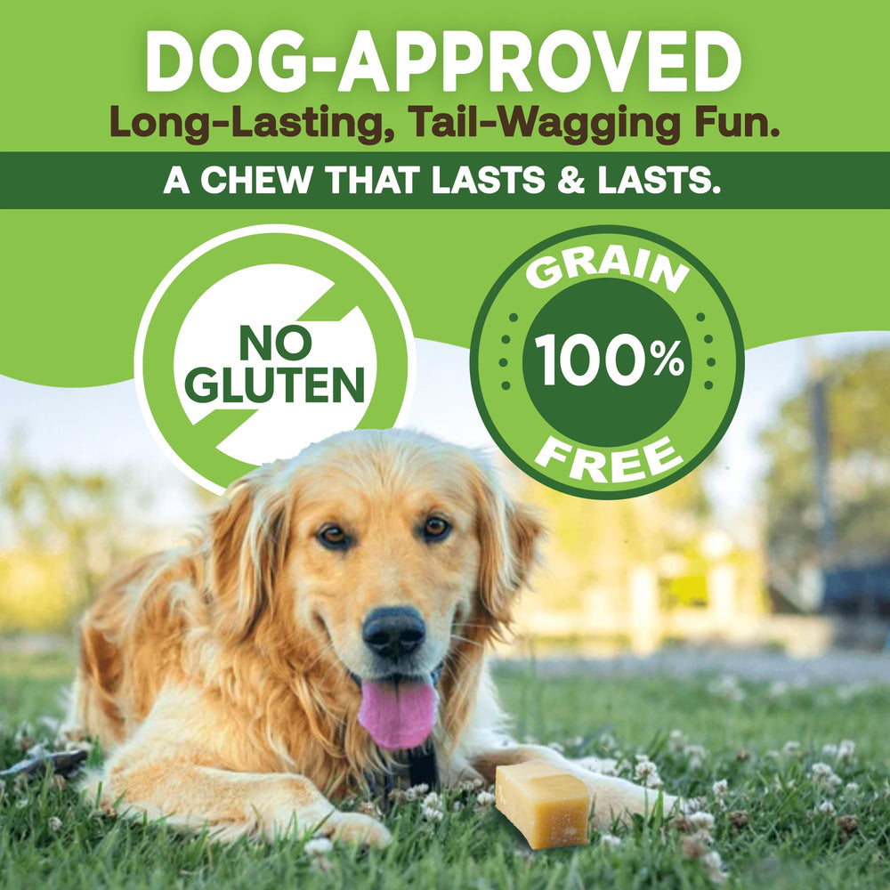 EcoKind Premium – fromage Yak Himalayen sans lactose, texture agréable.