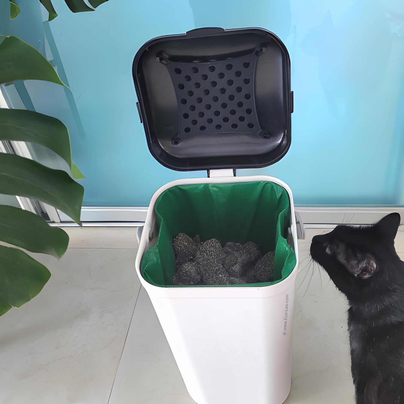 EcoLeo avertissement: seau non inclus, à utiliser avec Pet-Fusion.