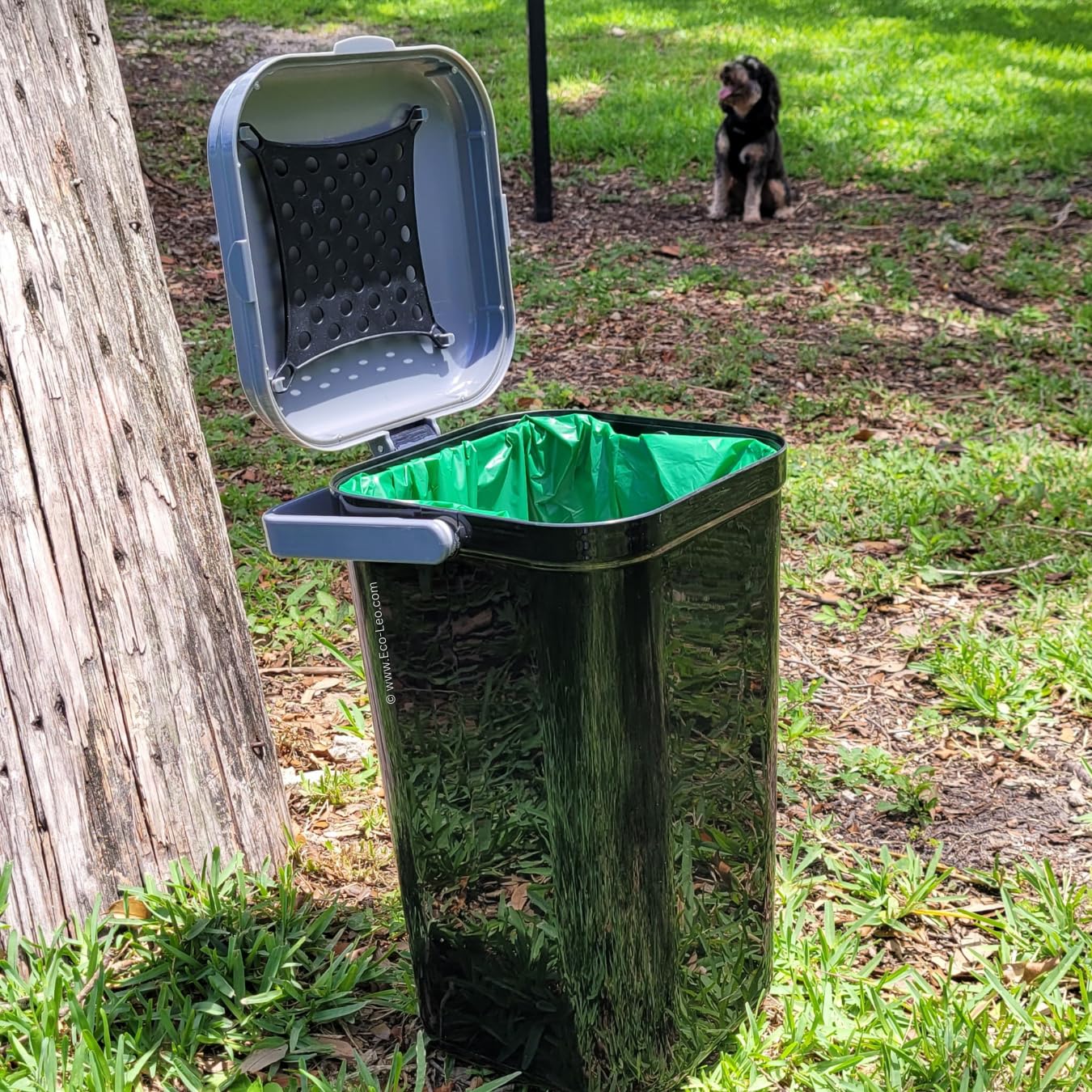 EcoLeo emballage vert opaque: rangement durable et écoresponsable.