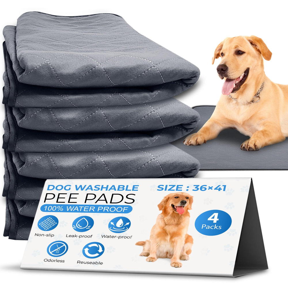 EcoLoo Pad ensemble 4-pack: tapis réutilisables ultra absorbants pour entraînement.