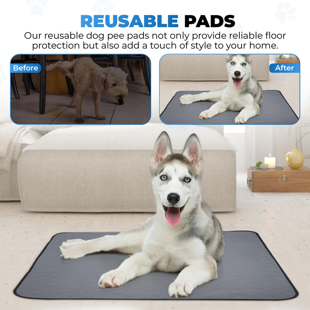 EcoLoo Pad taille large: convient à tous les chiens et chiots.