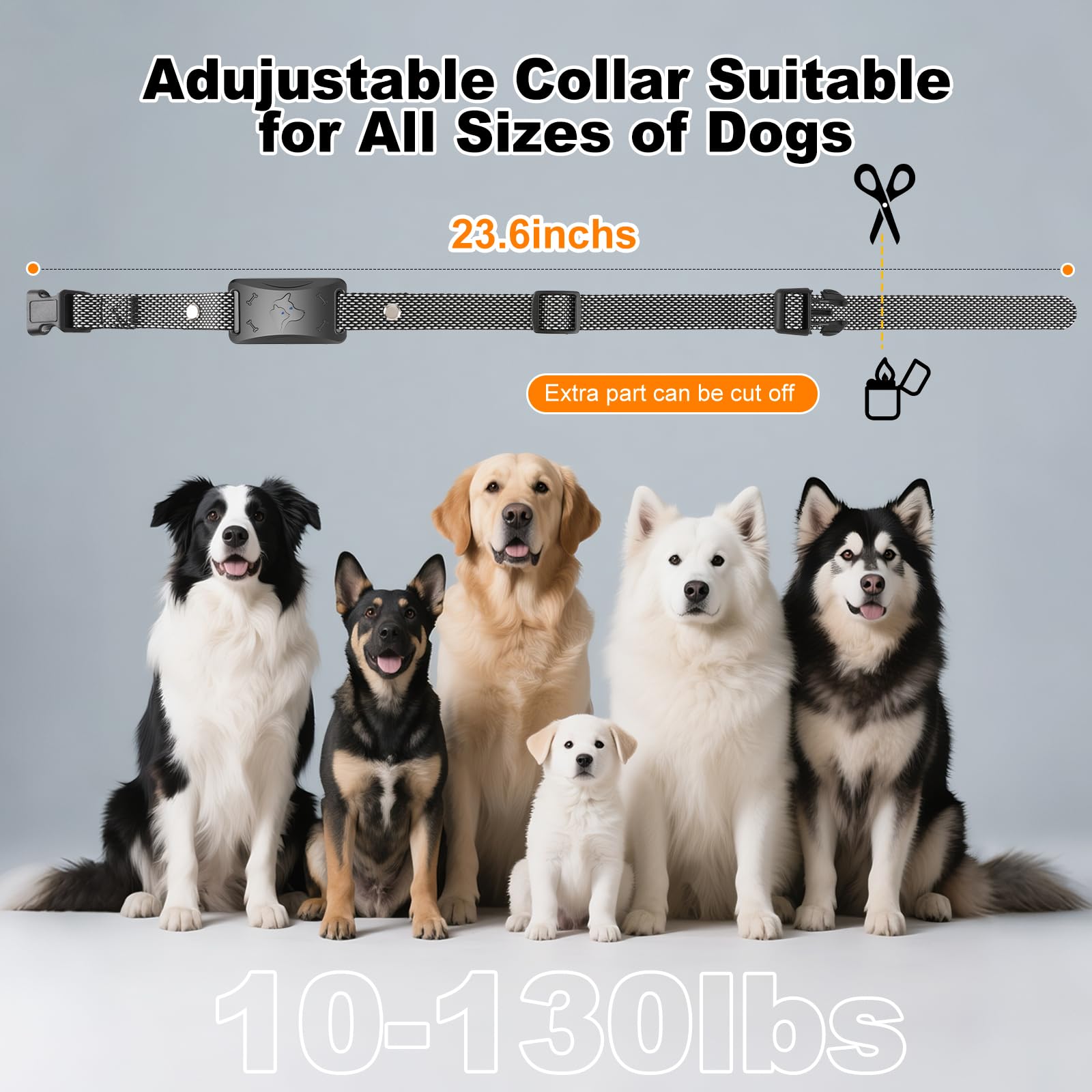 Ecoluminor collier-ipx7-impermeable: collier résistant à l’eau et aux intempéries.