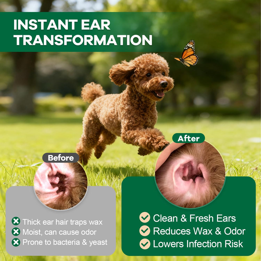 EcoStylife oreilles propres confort chien — routine d’hygiène douce