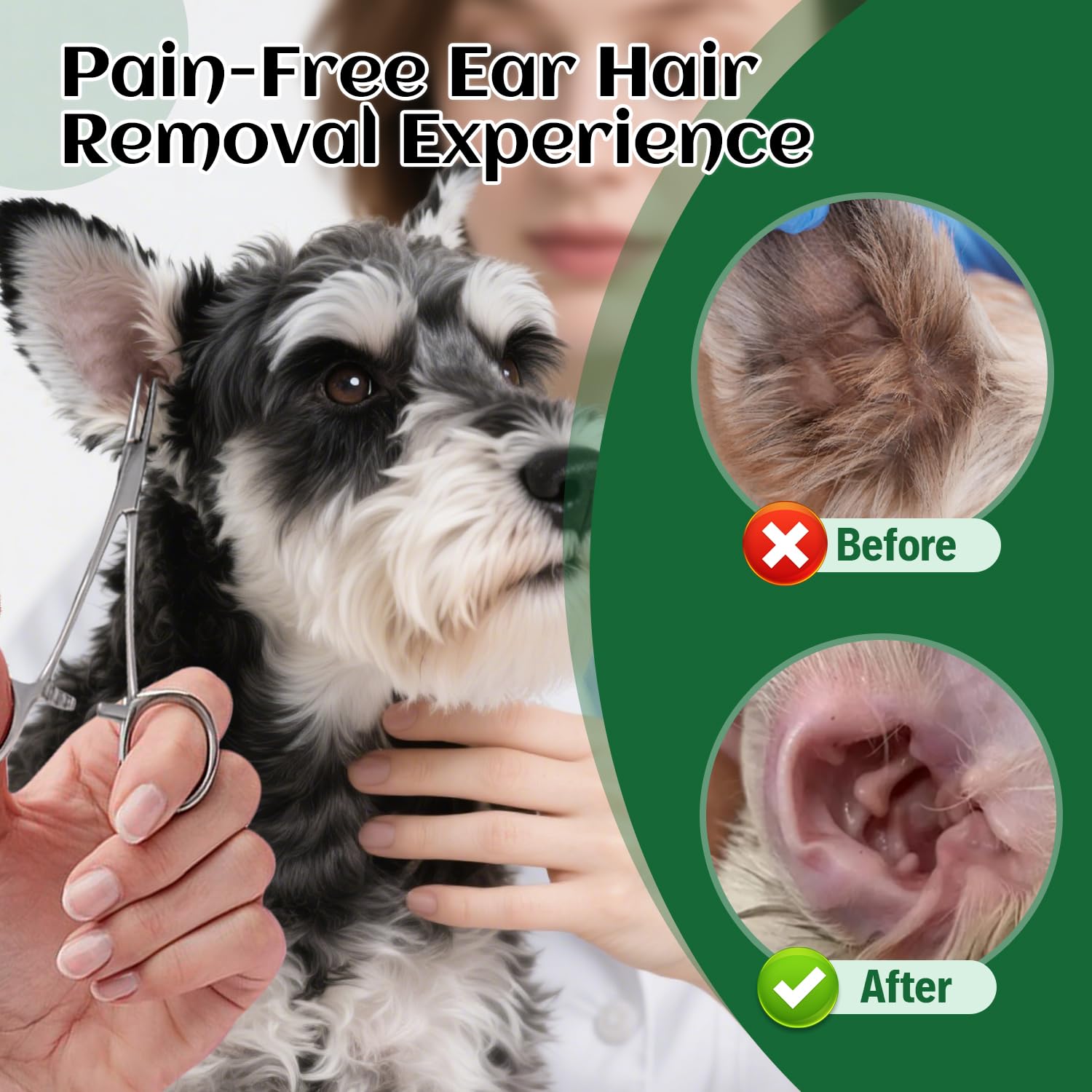 EcoStylife utilisation quotidienne soin oreilles chien: routine sûre