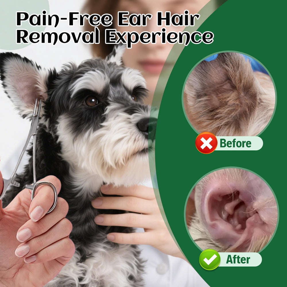 EcoStylife utilisation quotidienne soin oreilles chien: routine sûre