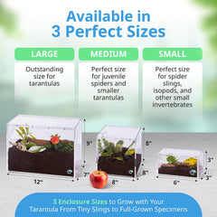 Terrarium EctoTherm pour escargots, habitat compact et entretien facilité.