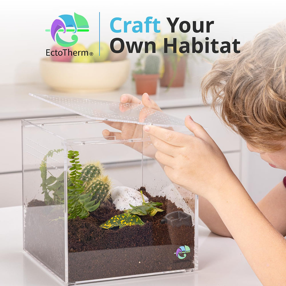 Terrarium EctoTherm pour gecko, habitat petit et lumineux.