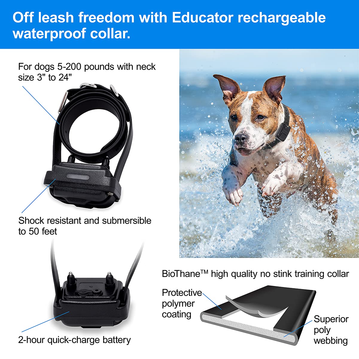 Collier récepteur Educator PF-1000-BK pour chien, confort et efficacité.