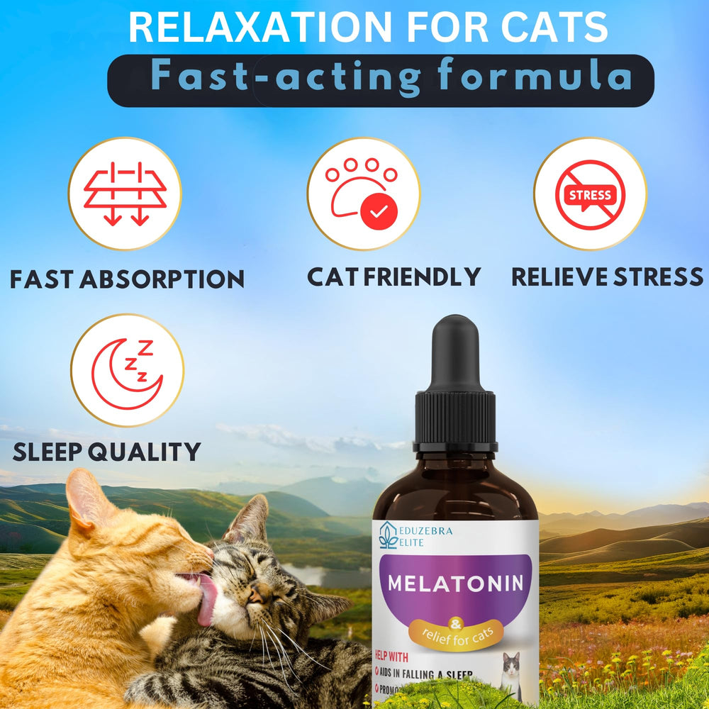 EDUZEBRA Chat Sommeil Apaisé – image de chat détendu prêt à dormir.