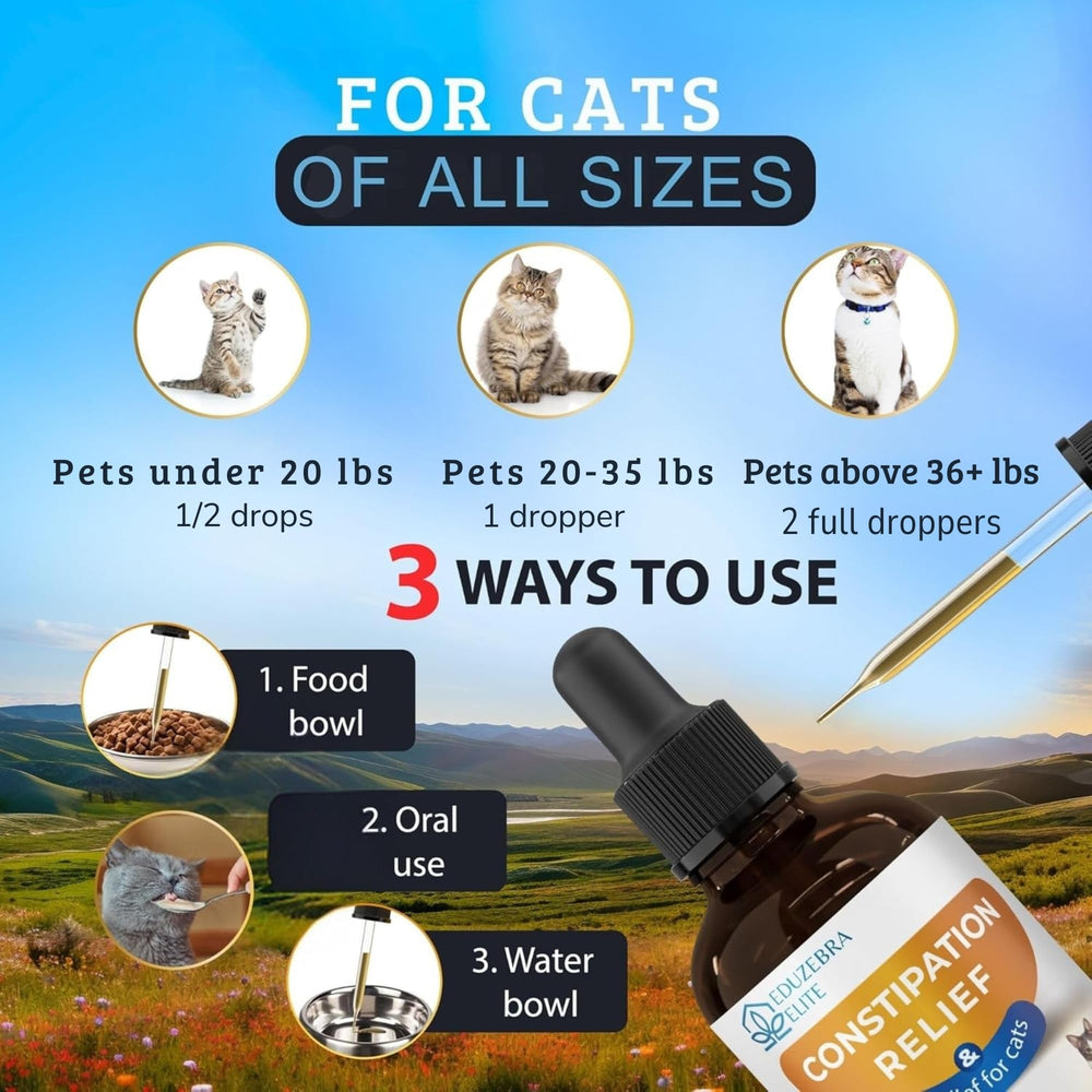 EDUZEBRA chat-usage-quotidien, routine simple pour soutenir la digestion du chat.