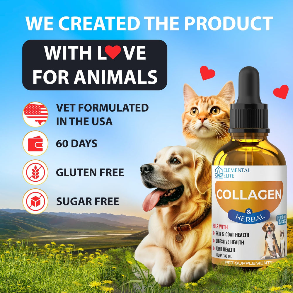 EduZebra Collagène Liquide : soutien digestion et bien-être général de l’animal.