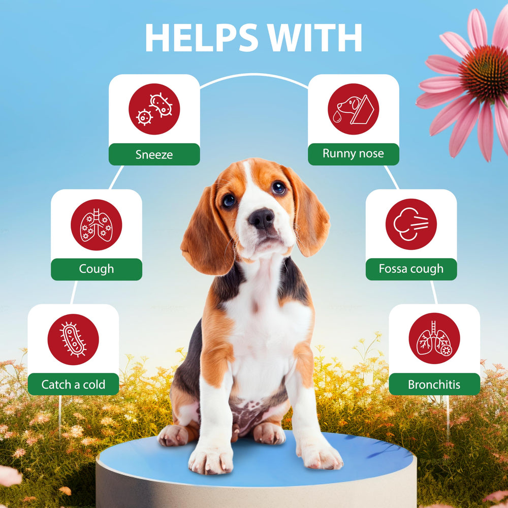 Gouttes EduZebra adaptées pour chiens et chats, couvrent toux sèche et humide.