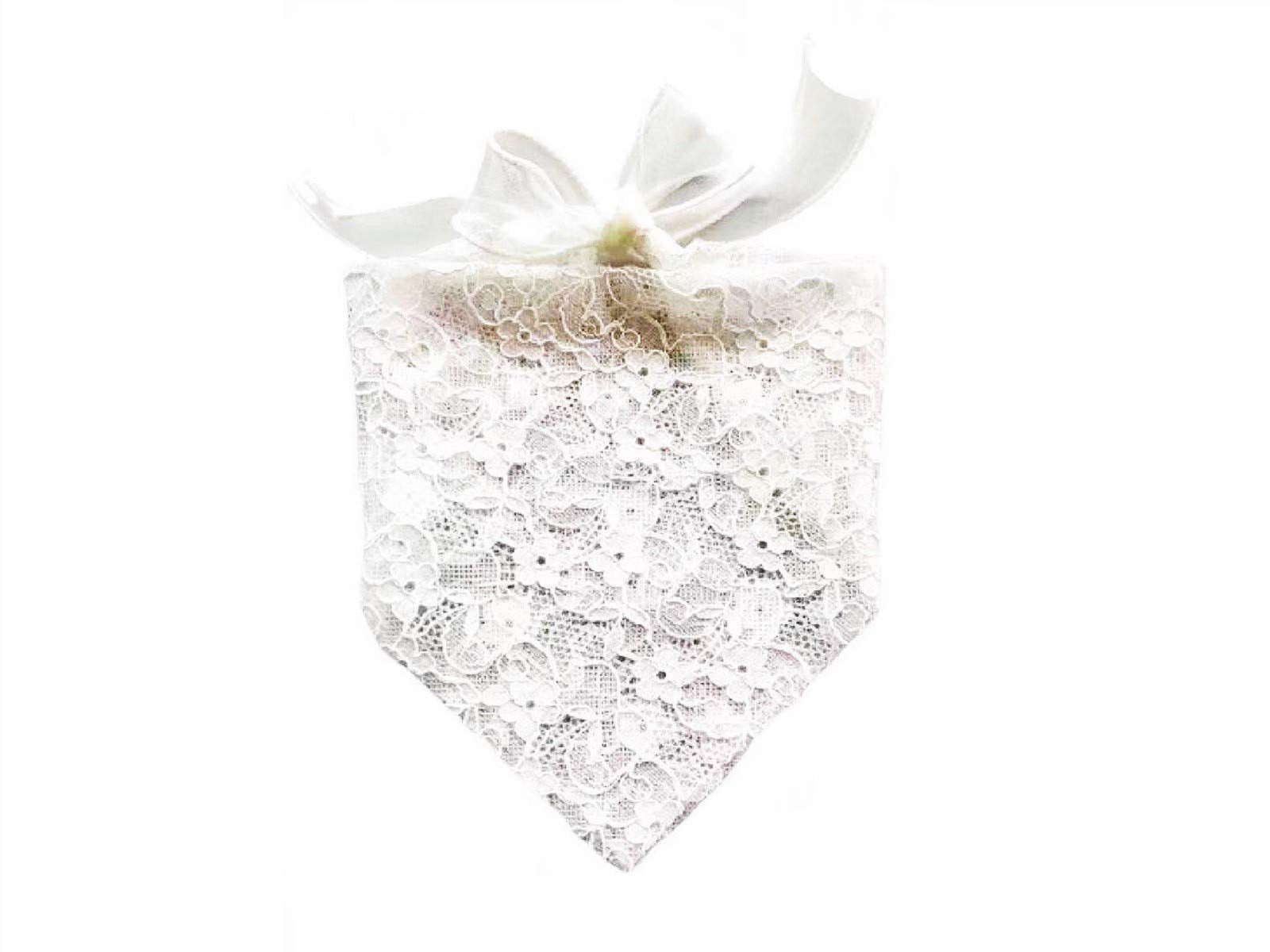EechicSpace bandana princesse dentelle blanche petit chien, accessoire élégant pour cérémonie.