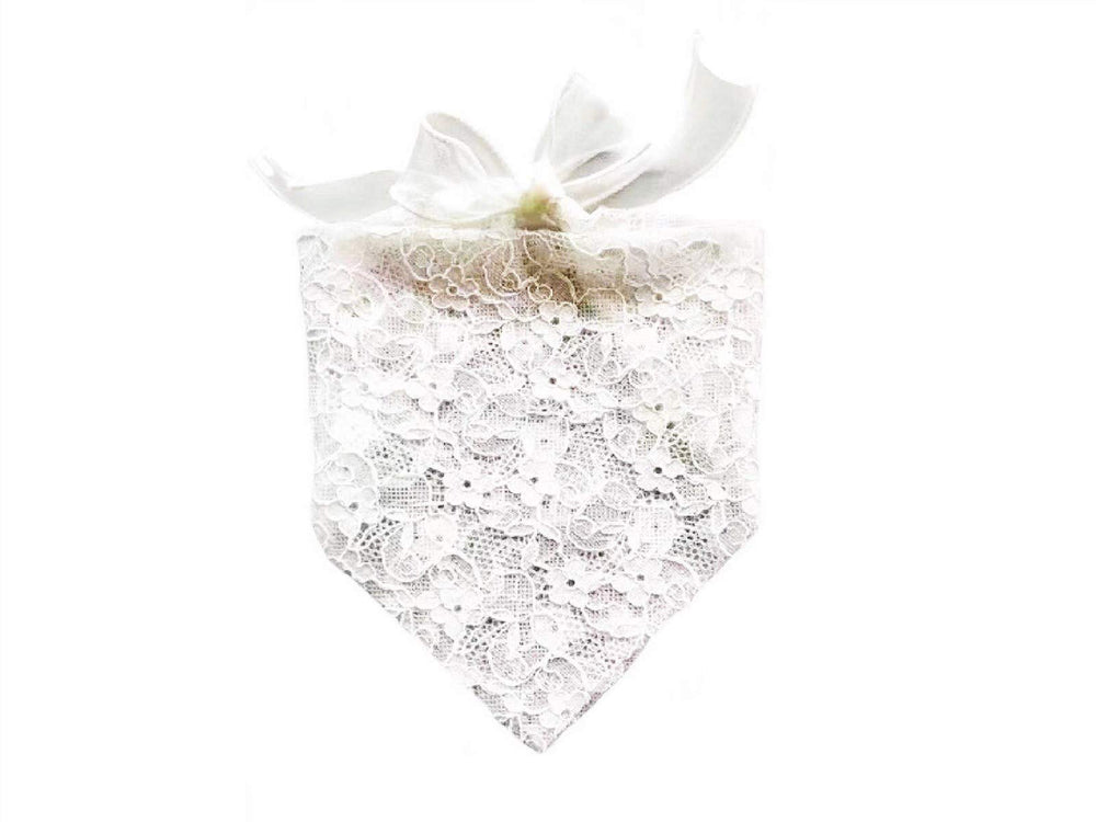 EechicSpace bandana princesse dentelle blanche petit chien, accessoire élégant pour cérémonie.