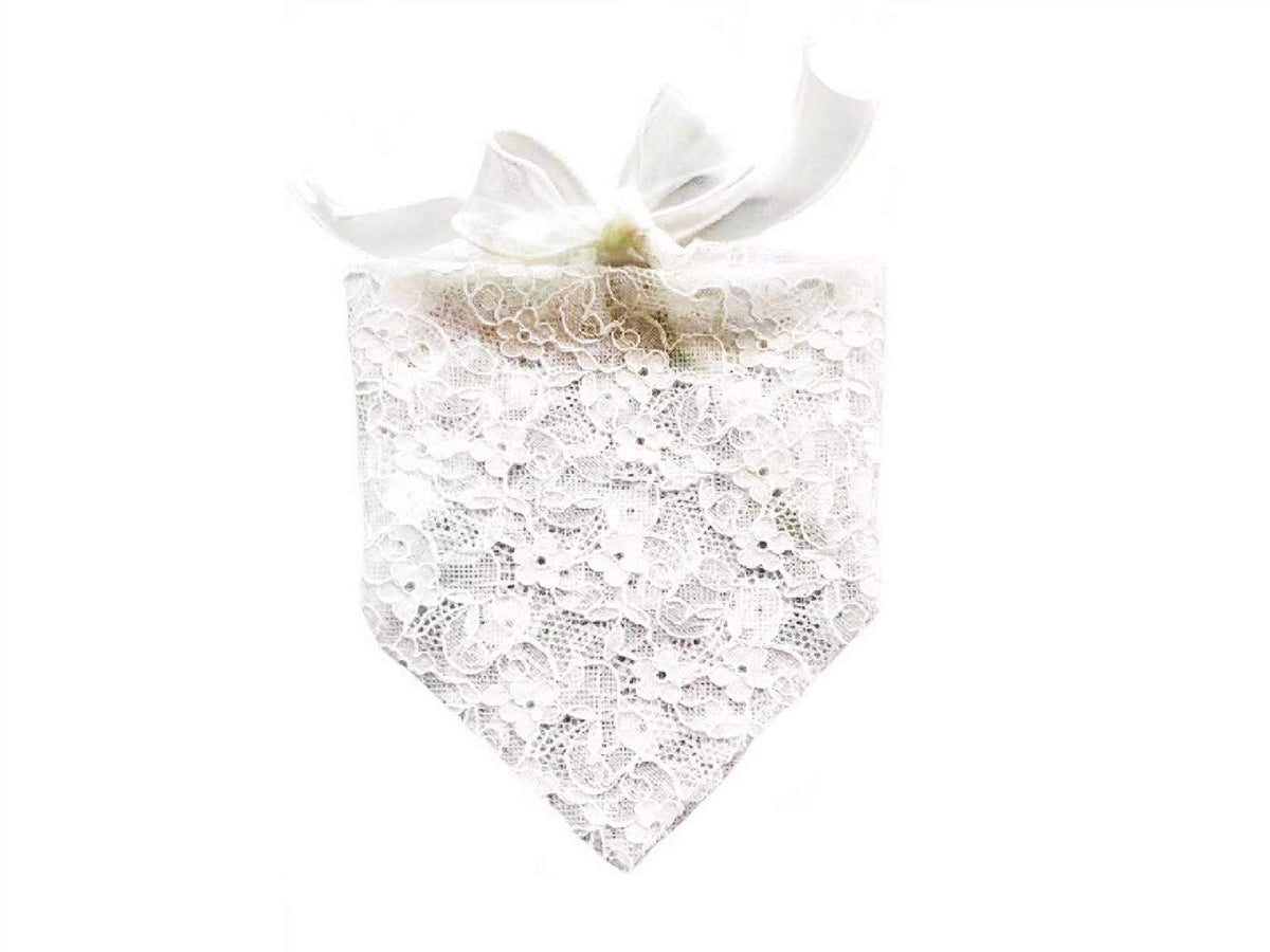 EechicSpace bandana princesse dentelle blanche petit chien, accessoire élégant pour cérémonie.