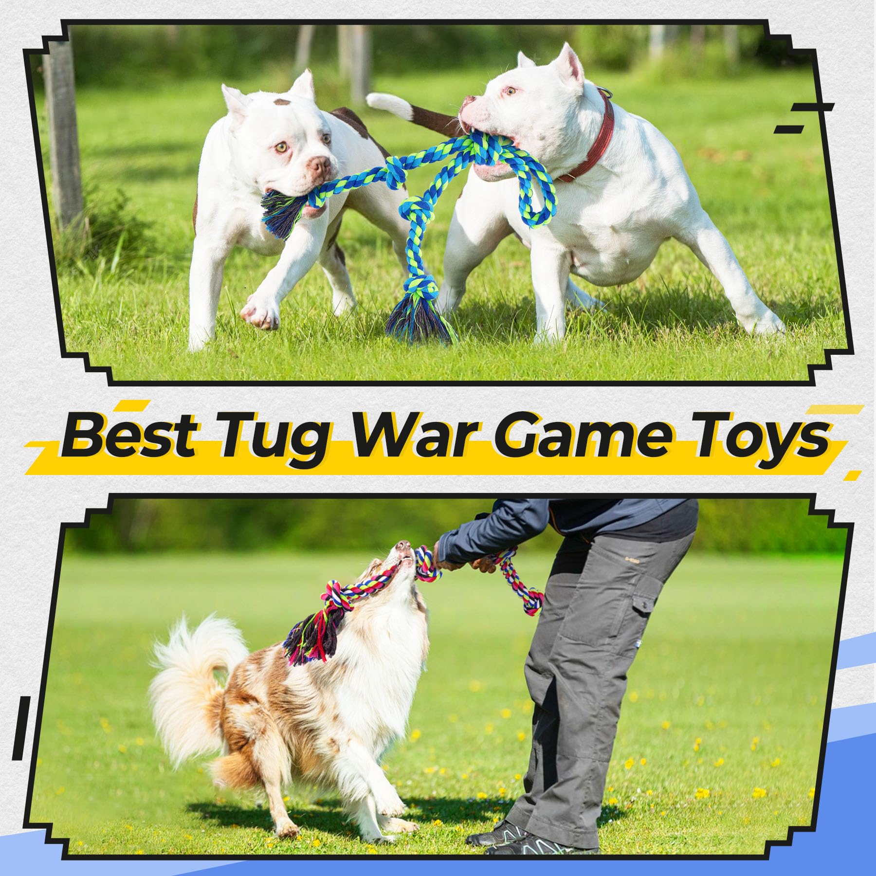 Sacs friandises chien Eefitoys, pratique pour transporter et récompenser lors des jeux.