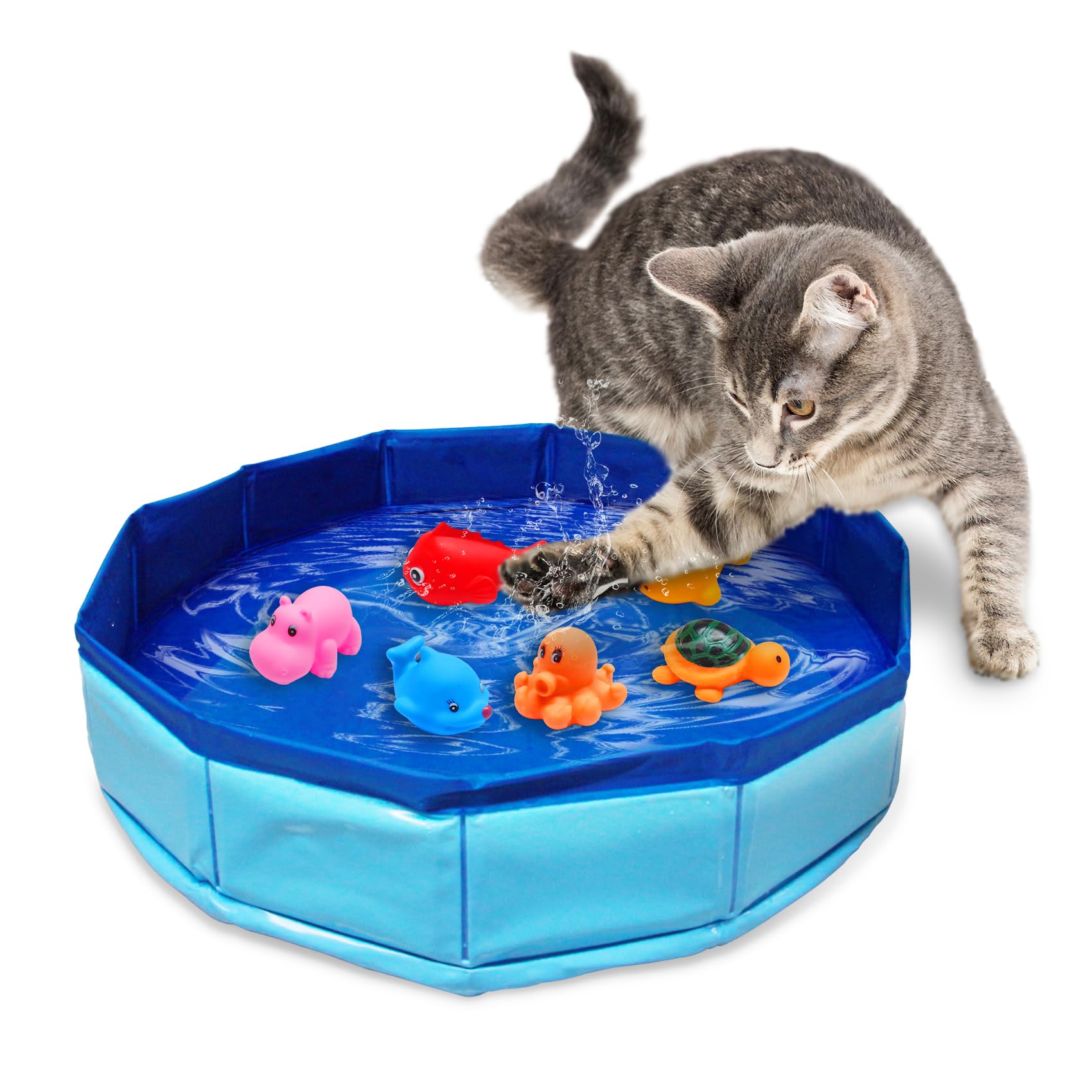 Eelexa piscine chat avec poissons flottants attire l'attention et stimule le jeu