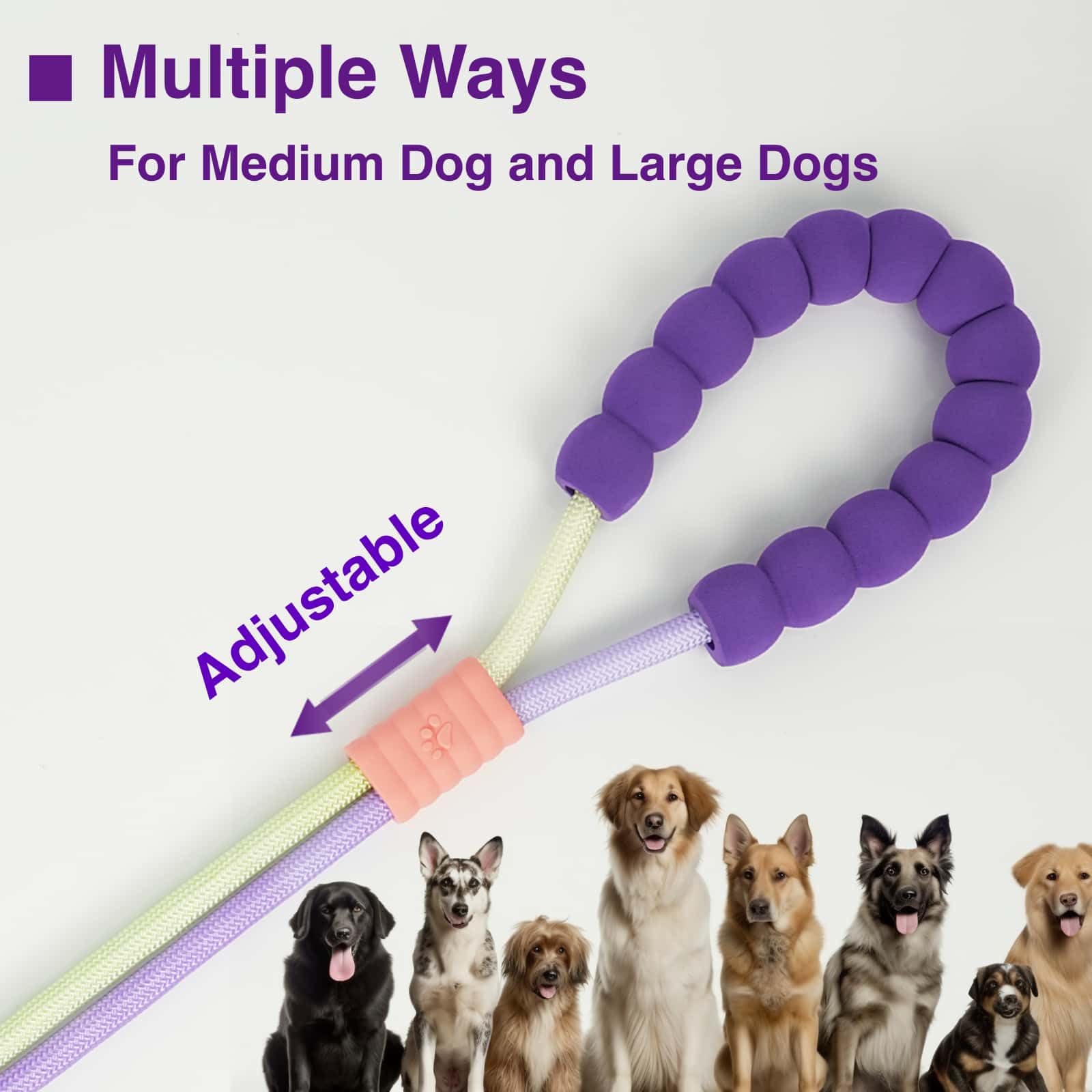 EffiBrill Laisse-durable-nylon-0-4-pouce assure robustesse même pour chiens énergiques.
