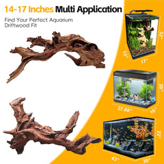 EFFIELER bois flotté Mopani, branche spirale pour terrarium et reptile.