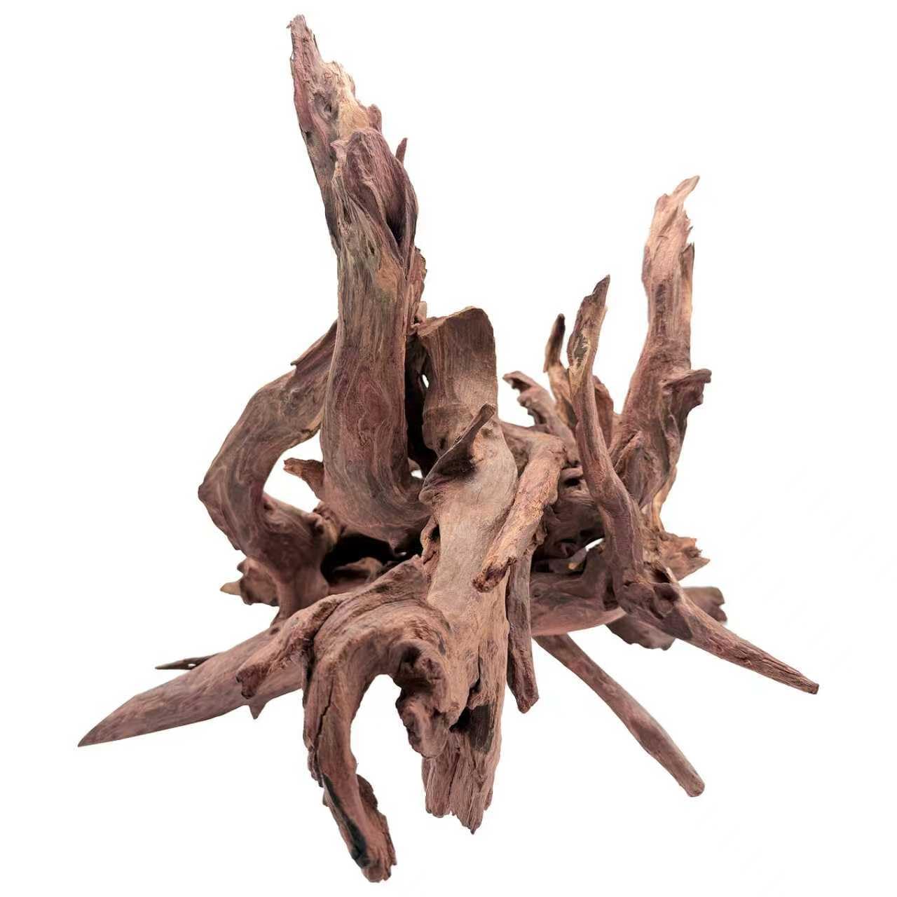 EFFIELER bois flotté Mopani, pièce centrale pour aquarium, décor naturel durable.