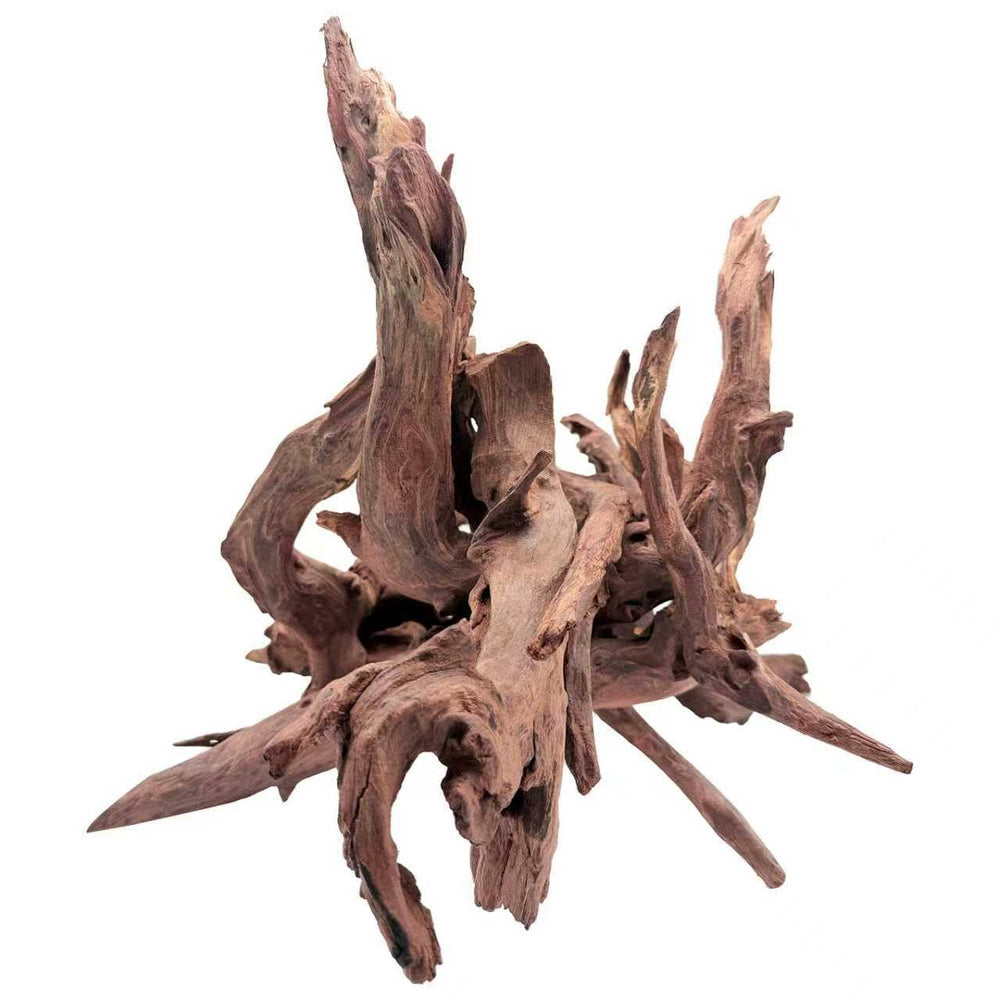 EFFIELER bois flotté Mopani, pièce centrale pour aquarium, décor naturel durable.