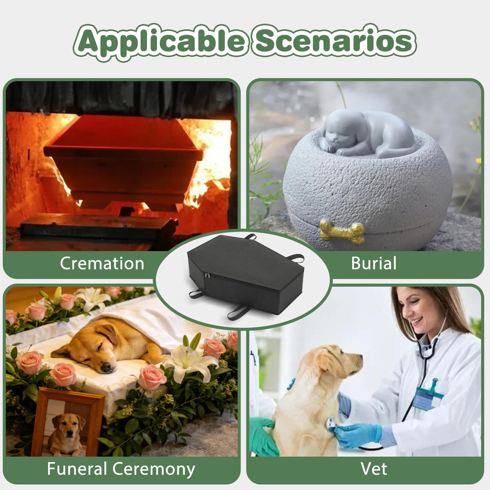 Option écologique respectueuse de l’environnement et des écosystèmes.