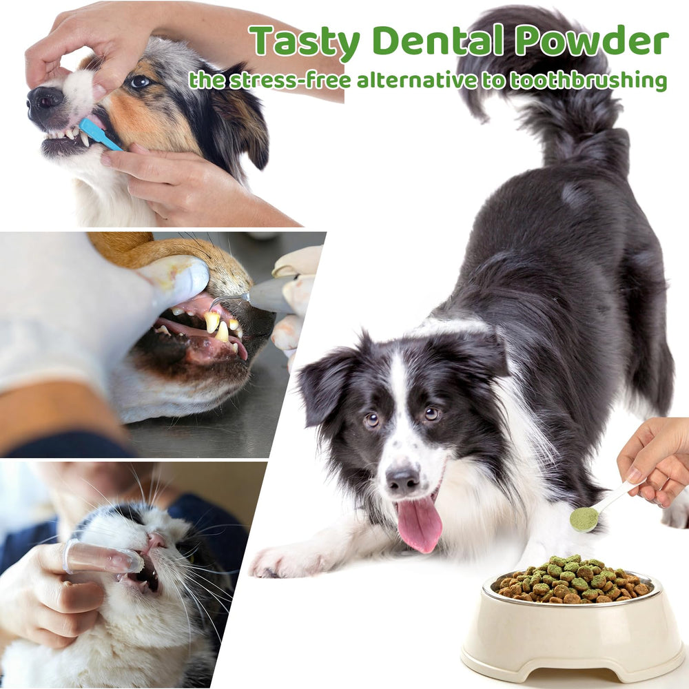 Chiens et chats de toutes tailles utilisent Eglagen pour routine bucco-dentaire.