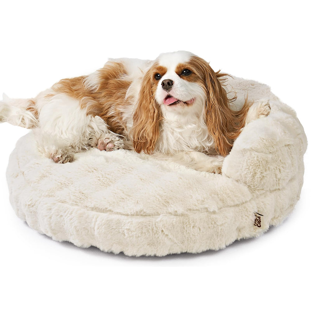 EHEYCIGA canape chat doux nuage: espace moelleux pour les siestes.